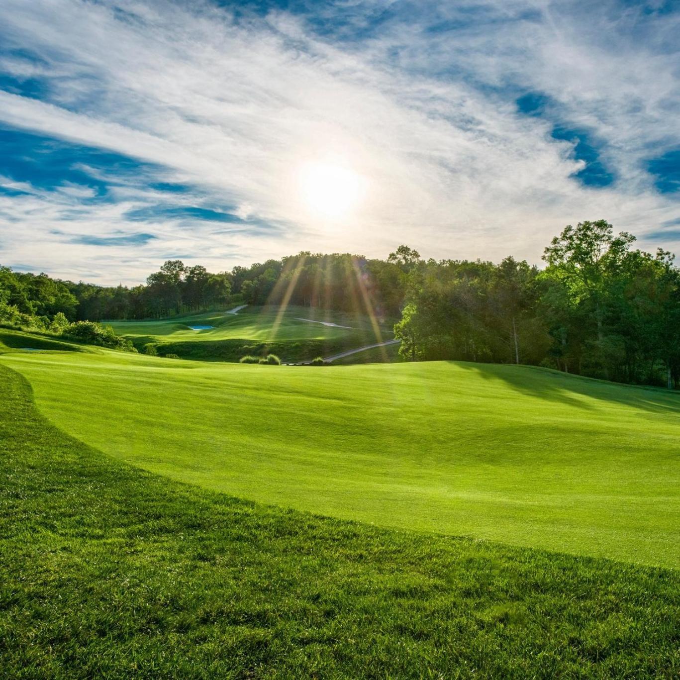 Personal Getaway. Golf Resort Gem. Great Location! Branson Exteriör bild